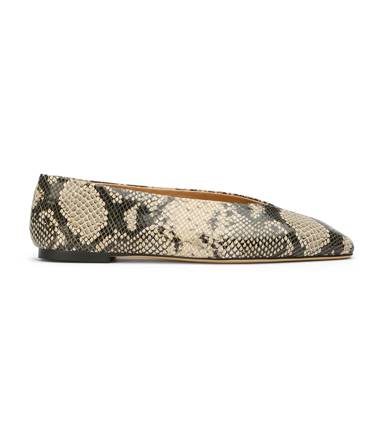 Brash Ecru Snake - Image 4