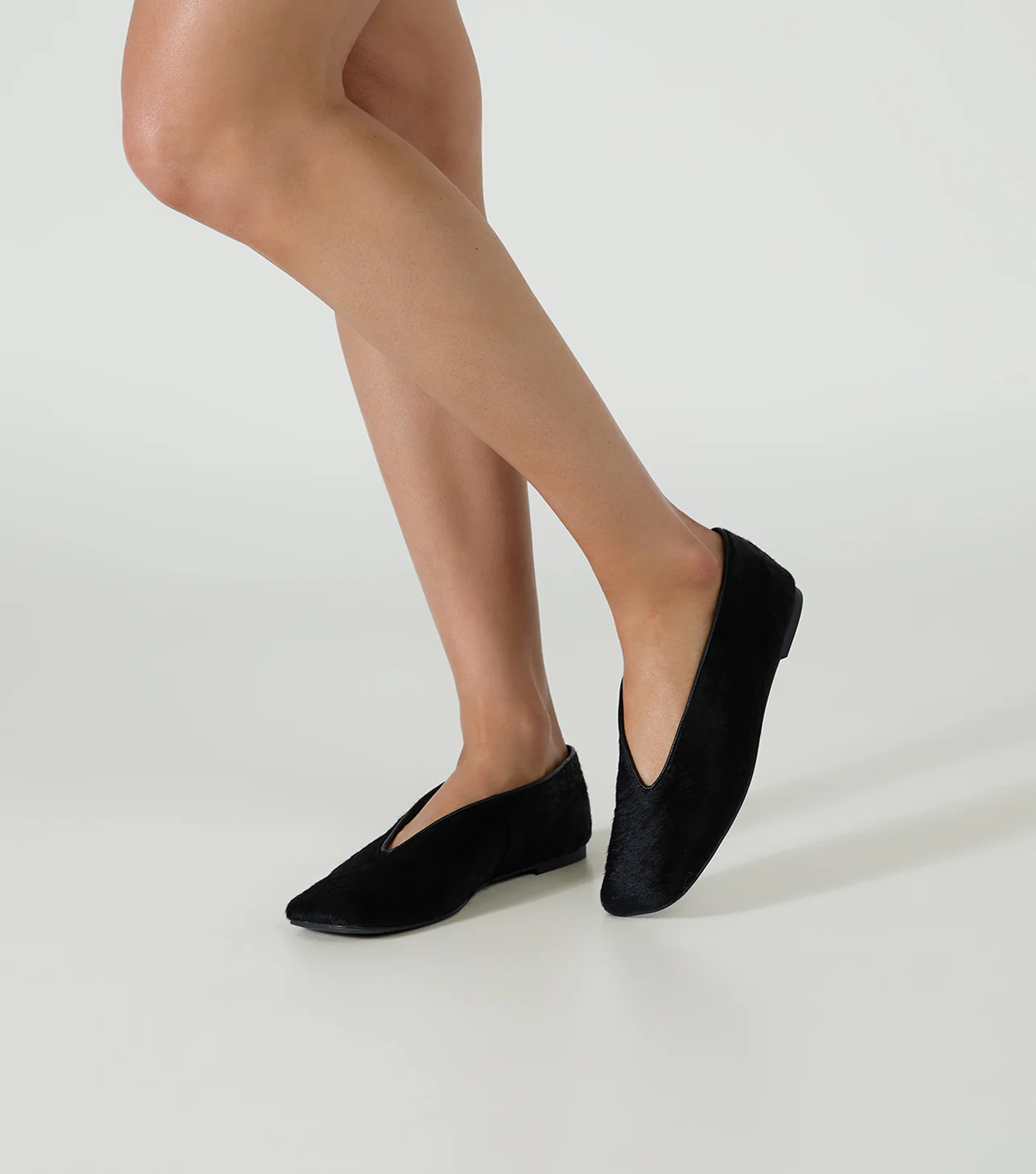 Concorde Black Pony - Image 5