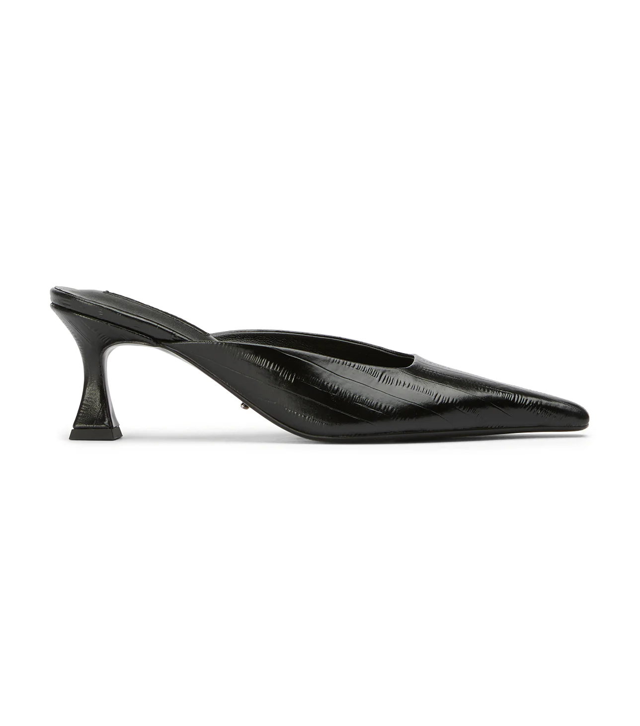 Juniper Black Anguille - Image 4