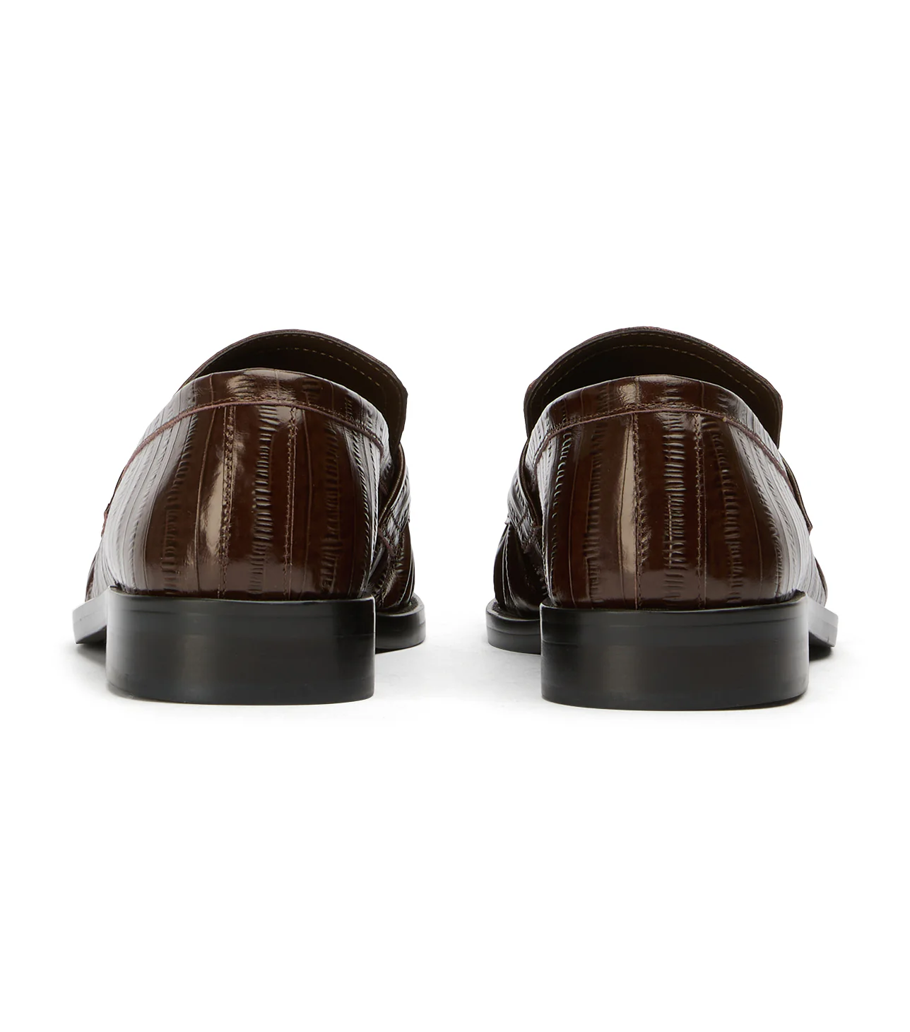 Libby Espresso Anguille - Image 6
