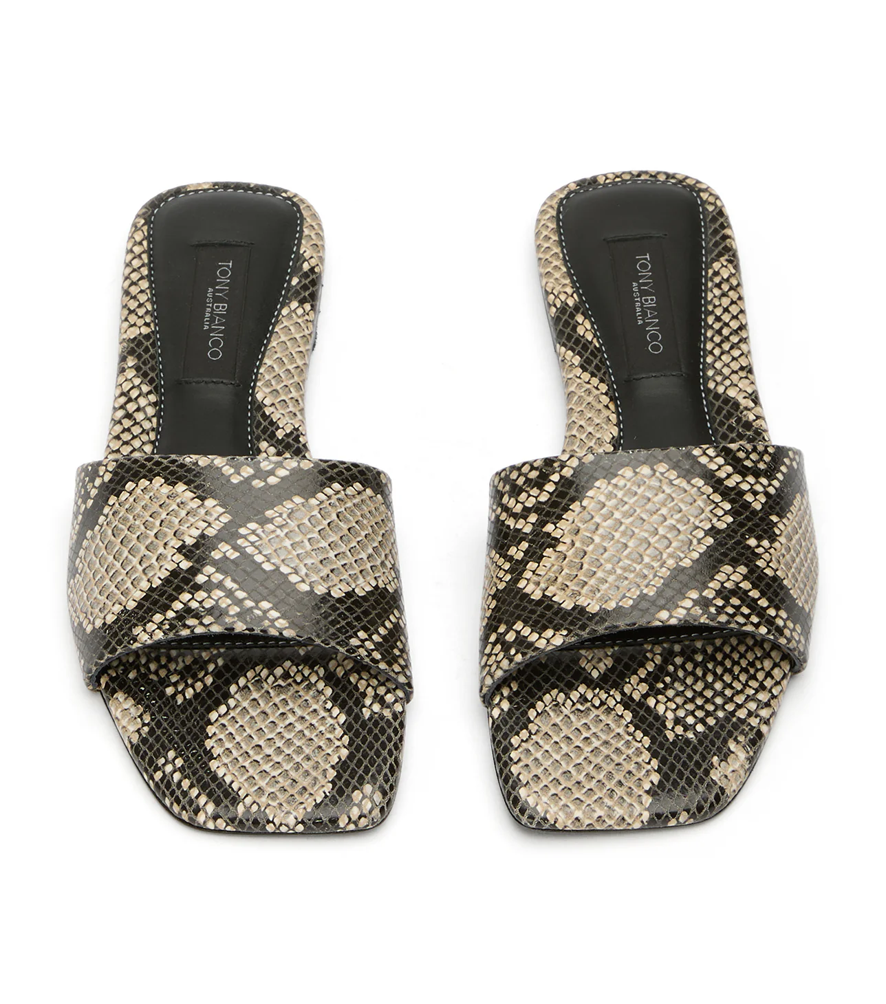 Ripper Ecru Snake - Image 4