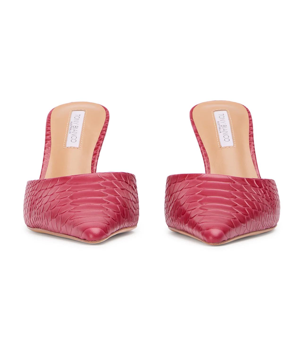 Sicily Scarlet Python - Image 7